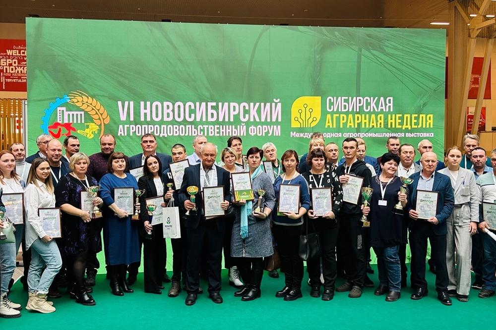 ES " Elitnaya" became the absolute winner of the pedigreed-stock exhibition "The Power of Siberia - 2023"