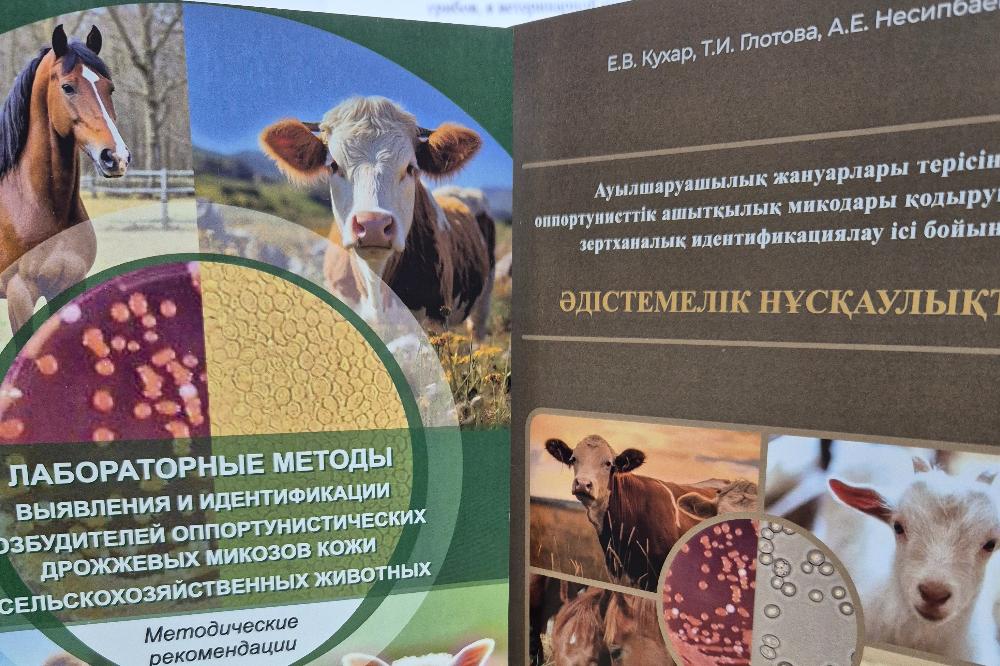 Ветеринары России и Казахстана разработали рекомендации для аспирантов