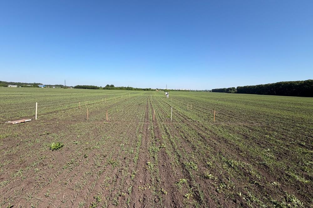 Students are mastering spatial data collection technologies at the Siberian Federal Scientific Centre of Agro-BioTechnologies RAS