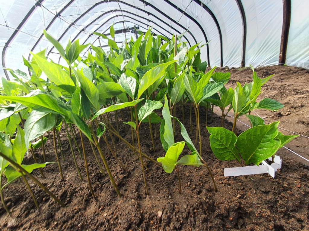 photo_55_2026-08-03_12-22-20.jpg